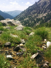 IMG 20180714 142806